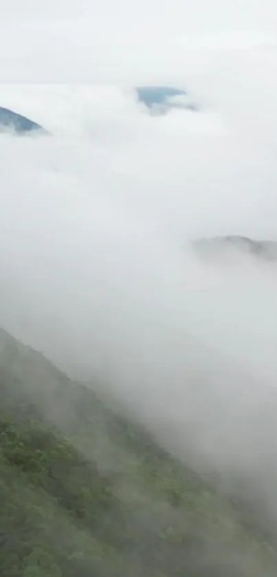 Plant Mountain Cloud Live Wallpaper