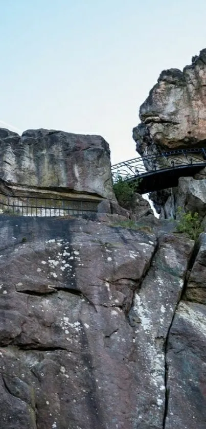 Plant Mountain Rock Live Wallpaper