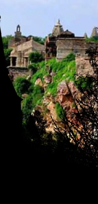 Plant Outdoor Building Live Wallpaper
