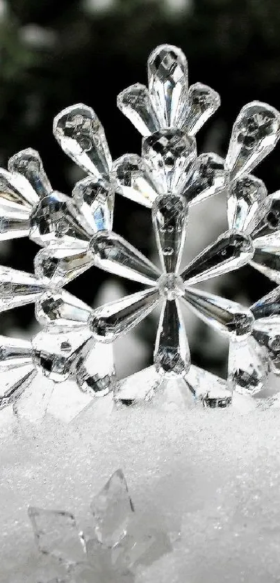 Plant Petal Art Live Wallpaper