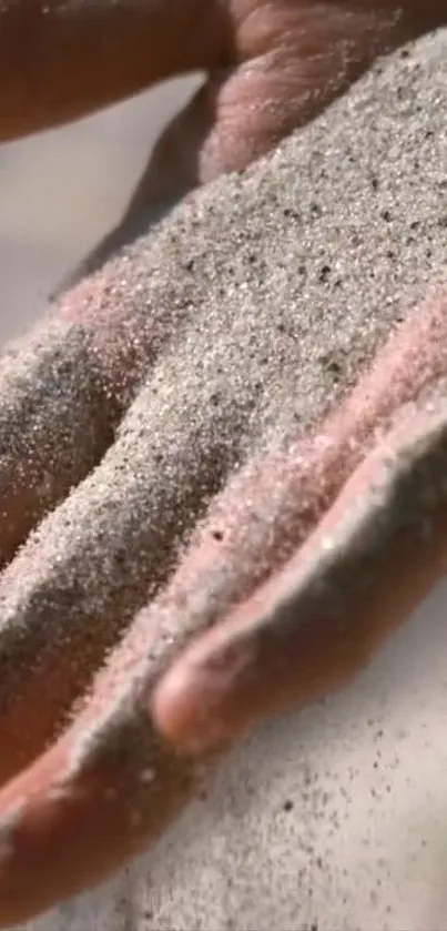 Plant Petal Brown Live Wallpaper