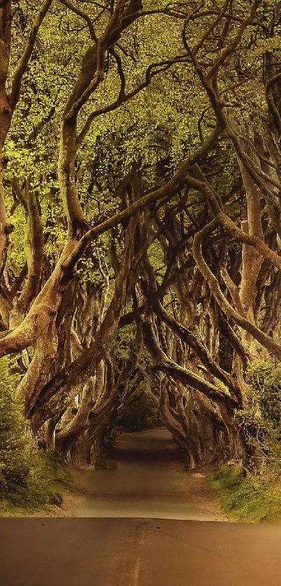 hehe Live Wallpaper