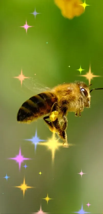 Abeja 🐝  Live Wallpaper