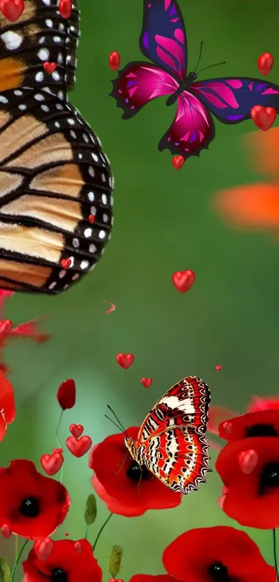 butterfly  Live Wallpaper