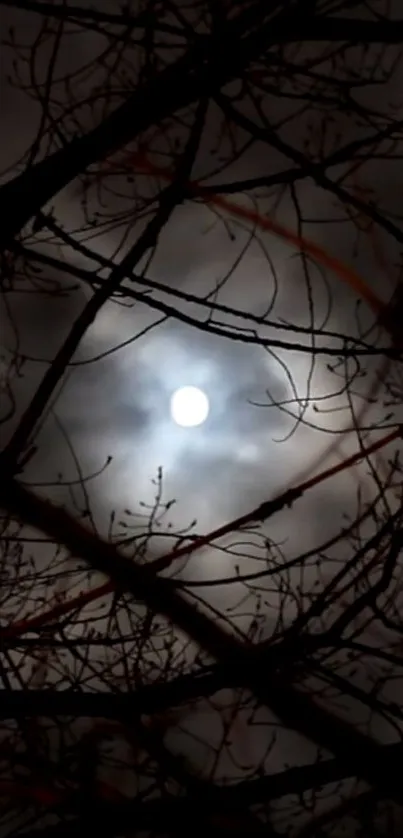 Plant Sky Moon Live Wallpaper