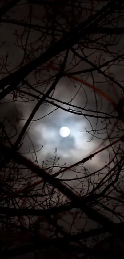 Plant Sky Moon Live Wallpaper