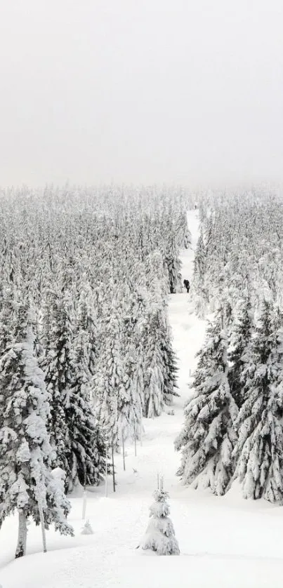 Plant Sky Snow Live Wallpaper