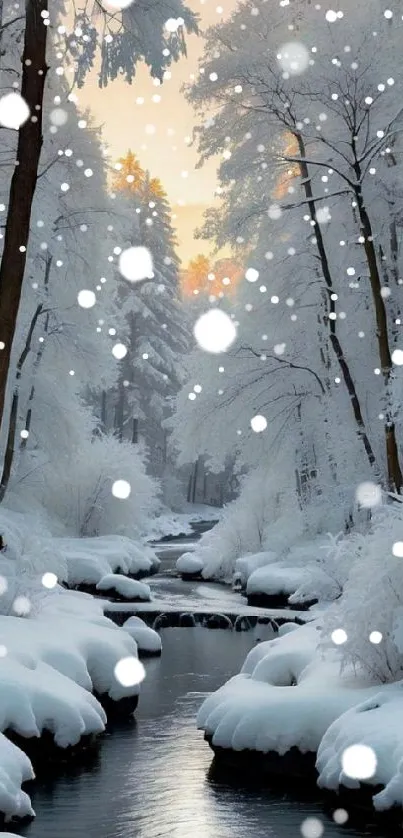 Plant Snow Light Live Wallpaper