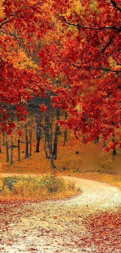 Plant Tree Brown Live Wallpaper