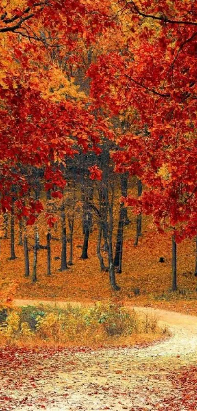 Plant Tree Brown Live Wallpaper