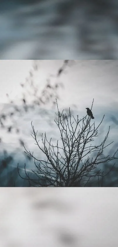 Plant Tree Cloud Live Wallpaper