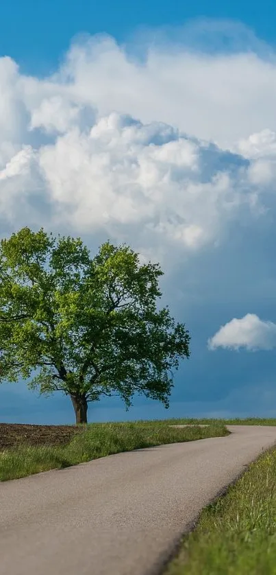 Plant Tree Cloud Live Wallpaper