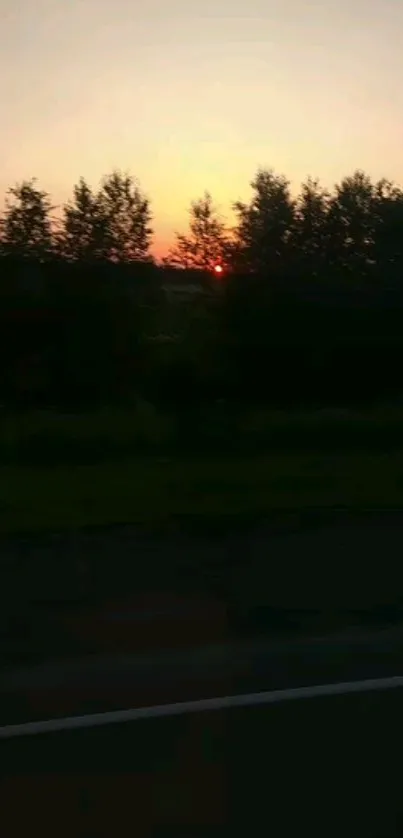 Plant Tree Landscape Live Wallpaper