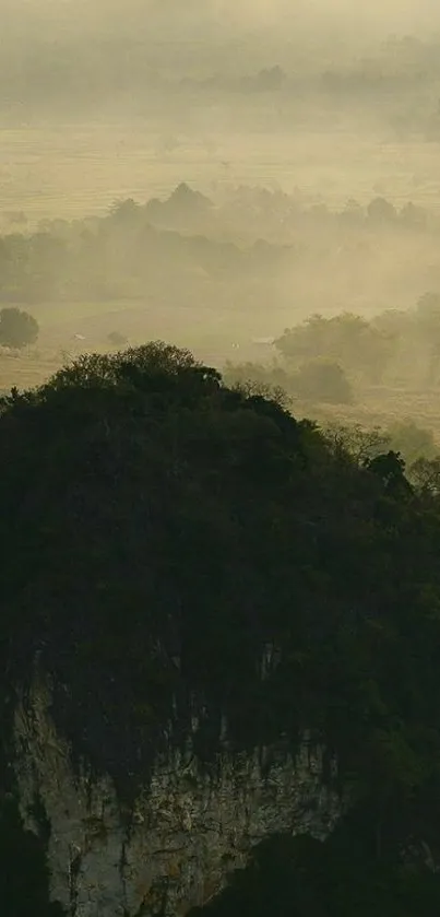 Plant Tree Landscape Live Wallpaper