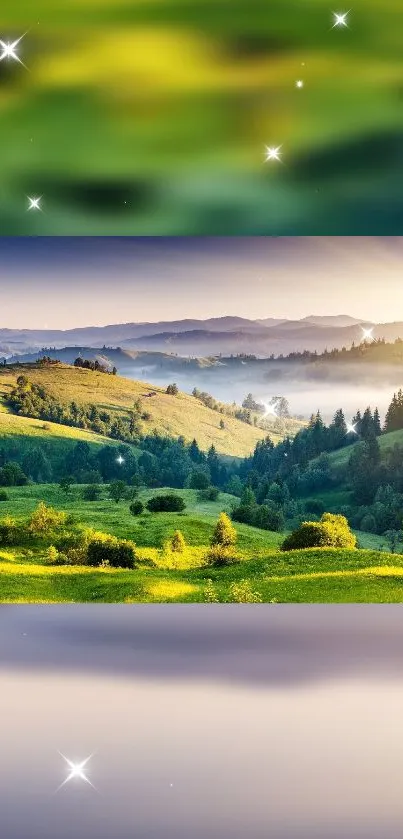 Plant Water Resources Water Live Wallpaper