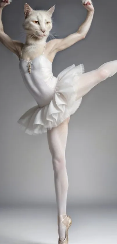 A whimsical cat dressed as a ballerina performing a dance pose on a soft gray background.