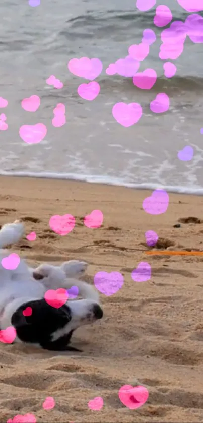 Dog on sandy beach with floating pink hearts.