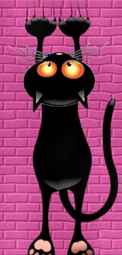 Playful black cat on a pink brick wall background.