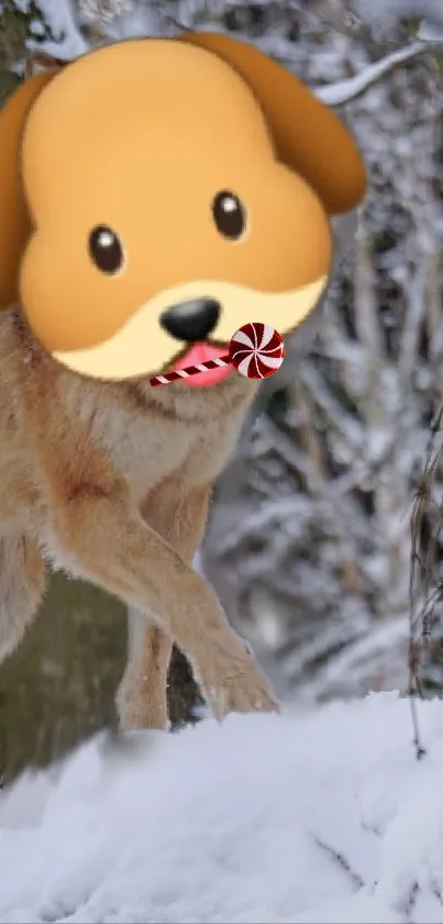 Dog with emoji face in a snowy landscape with a candy in its mouth.