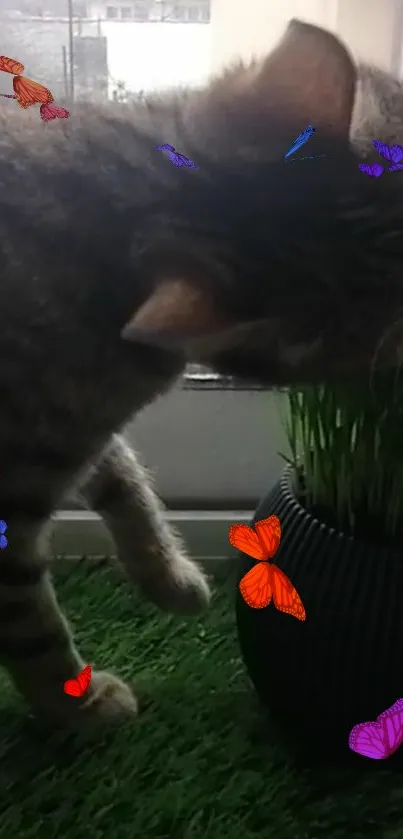 Cat exploring grass with colorful butterflies.