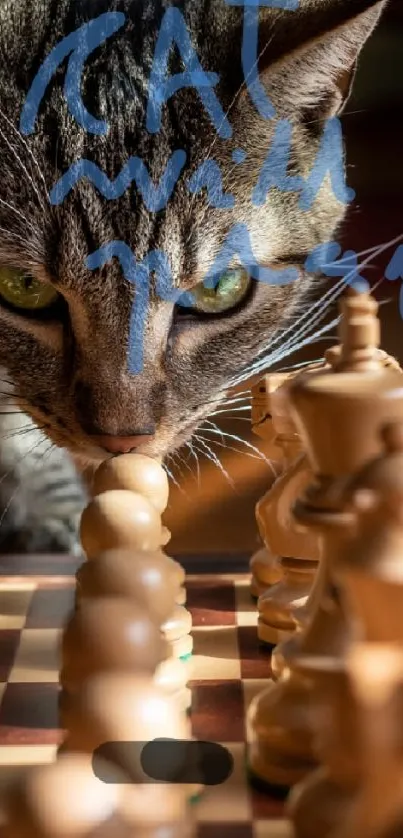 Curious cat studying chess pieces on a board in warm light.