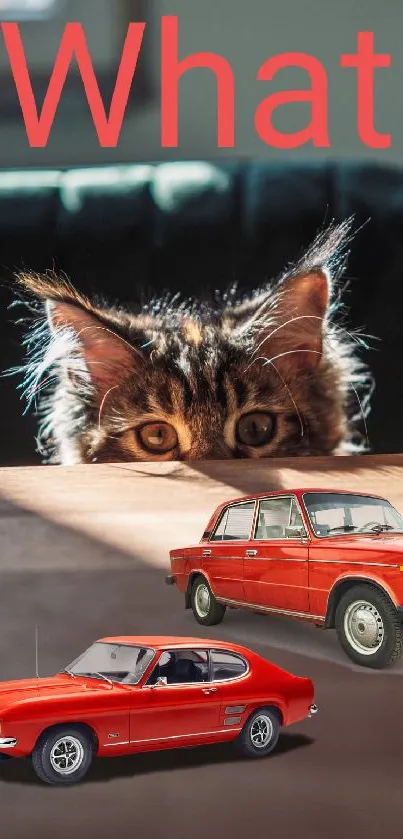 Curious cat with red classic cars on a fun, playful mobile wallpaper.