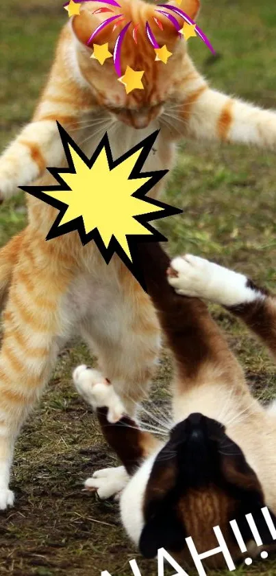 Playful cats battling in cartoon style with vibrant colors.