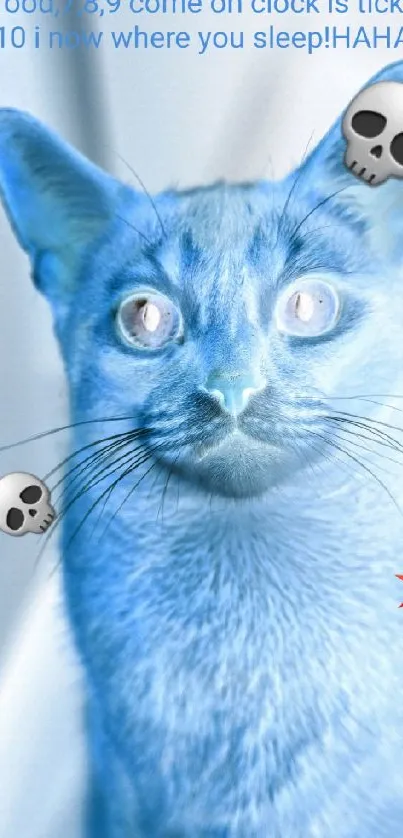 Blue cat with fun text and emojis wallpaper.