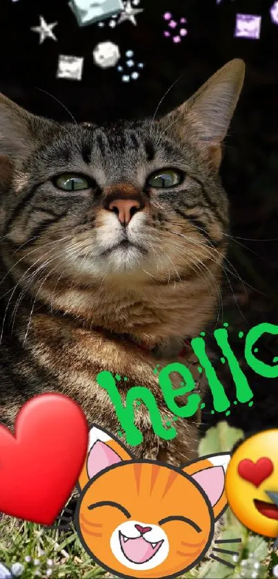 Cat with emojis and 'hello' text on a colorful mobile wallpaper.