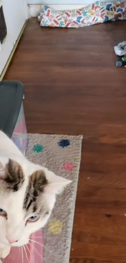 White cat on colorful rug with brown floor background.