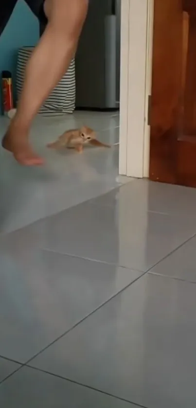 Playful ginger cat sliding on hallway tiles next to a wooden door.