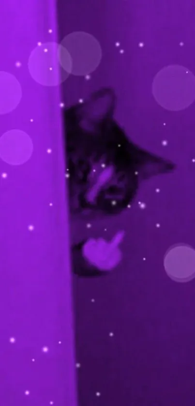 Playful cat in purple hue peeking from doorway wallpaper.