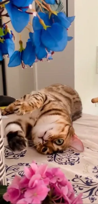 Playful cat resting on a table with vibrant blue and pink flowers.