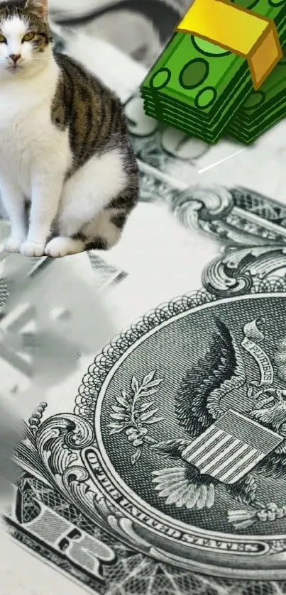 Cute cat sitting on a dollar bill with money stacks in foreground.