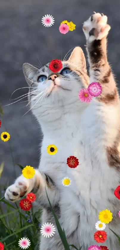 A playful cat reaching up in a natural setting with green grass.