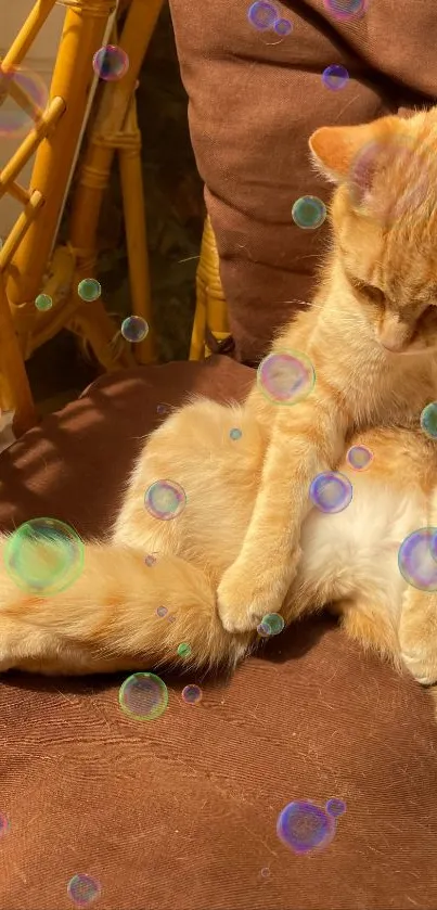 Ginger cat lounging amid colorful bubbles on a brown surface.