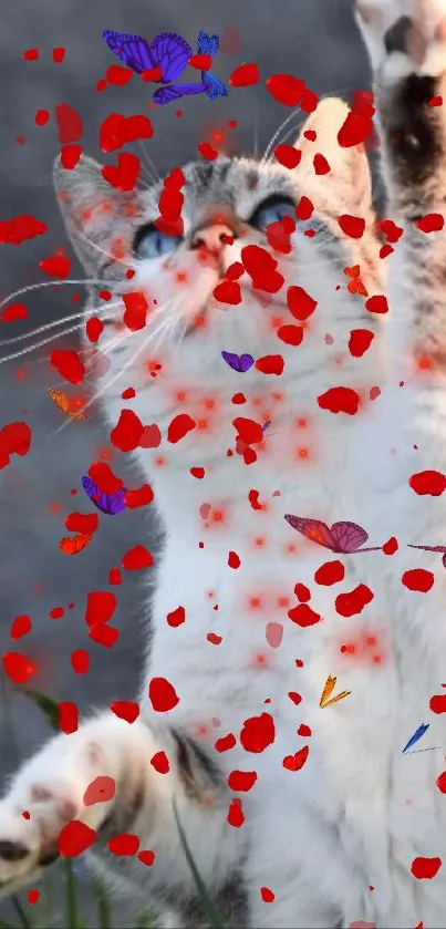 Playful kitten surrounded by falling red petals and colorful butterflies.