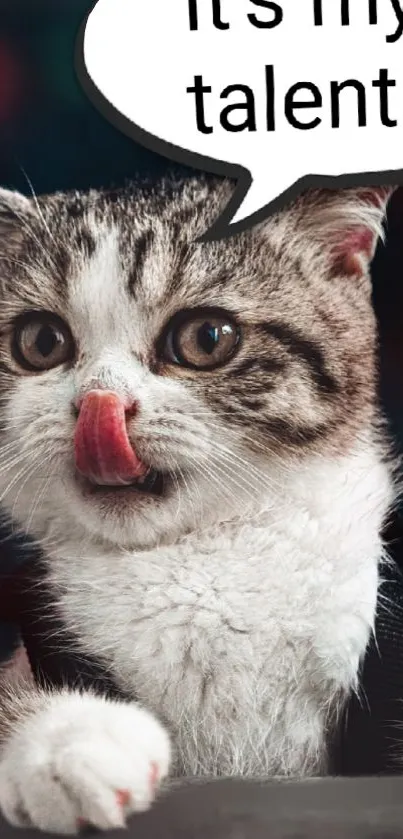 Cute cat licking its nose with funny speech bubble.