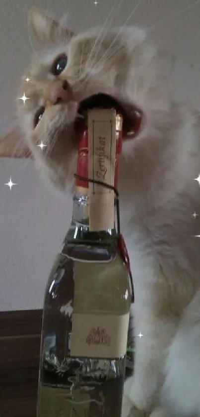 A playful cat interacts with a wine bottle in this fun wallpaper.