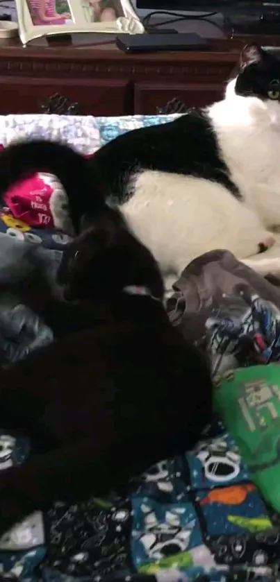 Two cats relaxing on a colorful quilt.