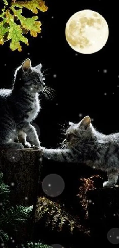 Two playful kittens under a full moon in a forest scene.