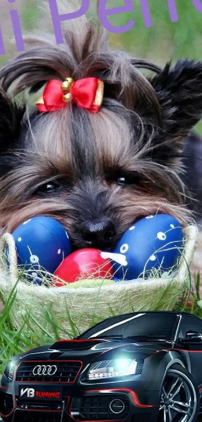 Mobile wallpaper with a cute dog, toy, and sports car on green grass.