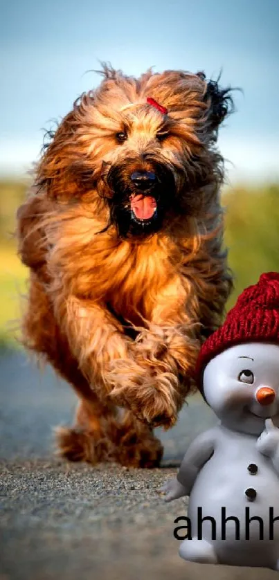 A fluffy dog running next to a playful snowman in a red hat.