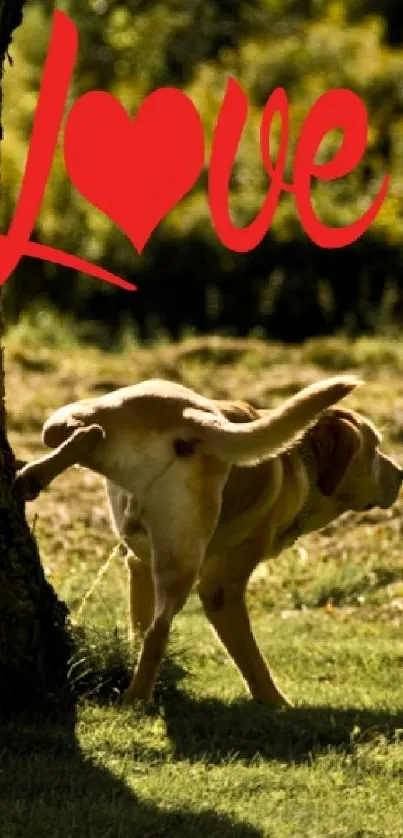 Dog under a tree with red love text in a green nature setting.