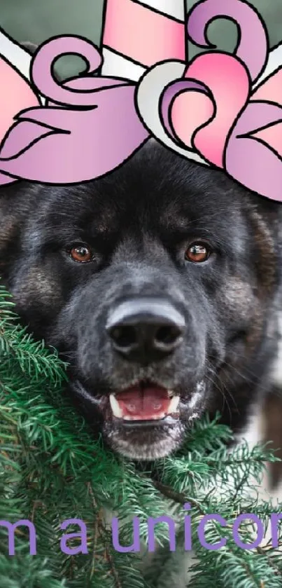 Dog with unicorn hat in a lush green forest.