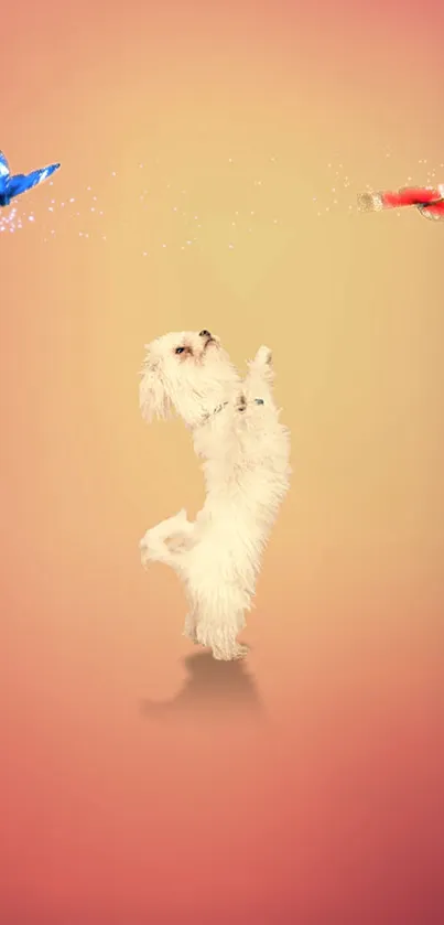 Shaggy dog plays with butterflies on peach background.