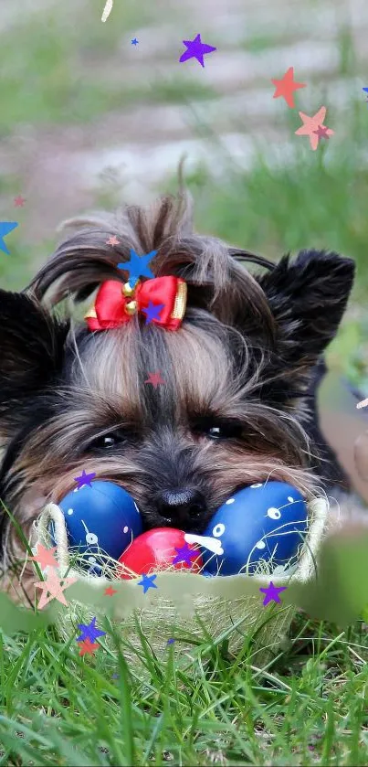 Playful dog with colorful stars and green grass.