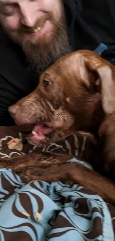 Brown dog playing with owner on cozy blanket.