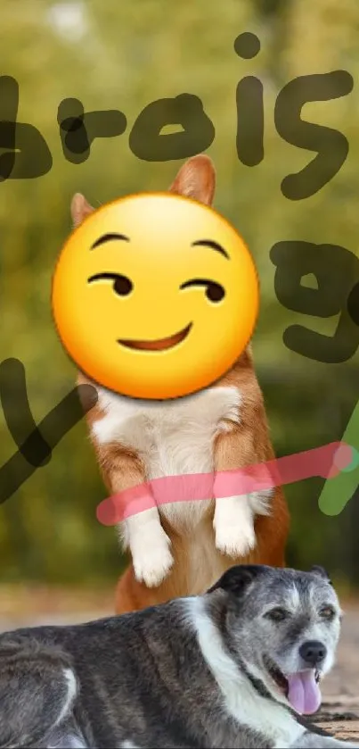 Playful dogs with cheeky emoji and vibrant background.