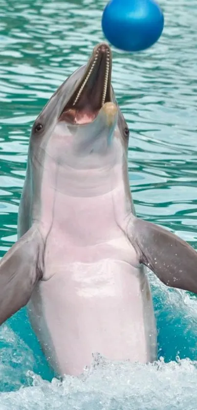 Dolphin leaping with a blue ball in vibrant water.